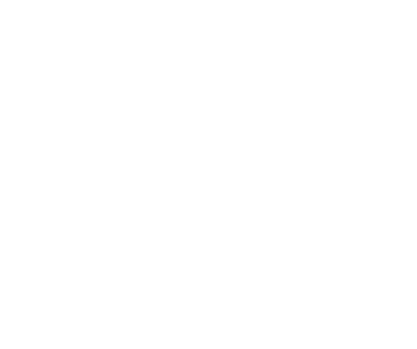 morningside logo primary textonly v2